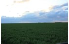 Property photo 22 - LAND AUCTION, 3255+/- Acres offered in 13 Tracts